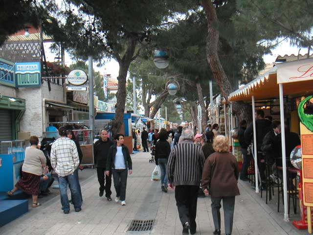 L'avenue des pins